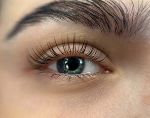Luxury lash extension close-up